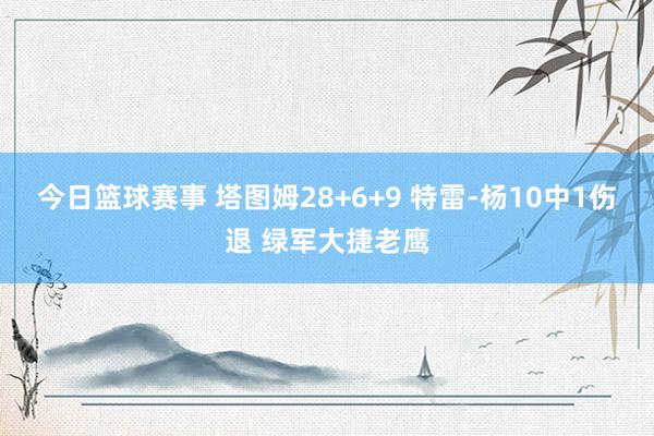 今日篮球赛事 塔图姆28+6+9 特雷-杨10中1伤退 绿军大捷老鹰