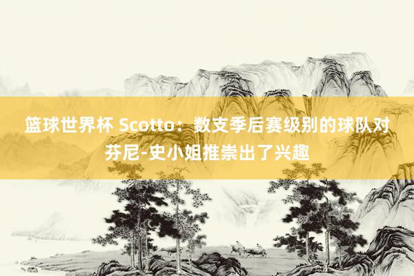 篮球世界杯 Scotto：数支季后赛级别的球队对芬尼-史小姐推崇出了兴趣