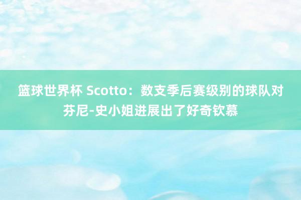 篮球世界杯 Scotto：数支季后赛级别的球队对芬尼-史小姐进展出了好奇钦慕