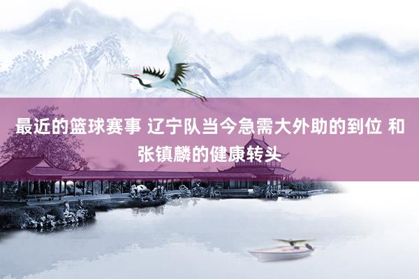 最近的篮球赛事 辽宁队当今急需大外助的到位 和张镇麟的健康转头