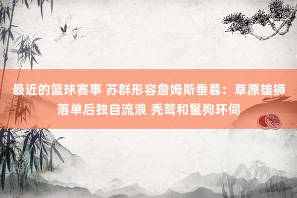 最近的篮球赛事 苏群形容詹姆斯垂暮：草原雄狮落单后独自流浪 秃鹫和鬣狗环伺